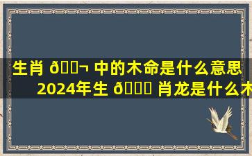 生肖 🐬 中的木命是什么意思（2024年生 🍁 肖龙是什么木命）